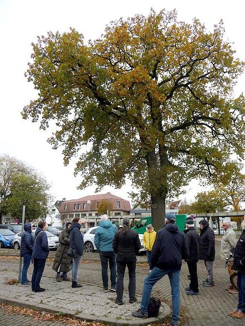 Bürgerinitiative "Rettet unseren Wasserturmpark"