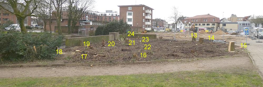 Baumfällung Hotelbau Heide im Februar 2024