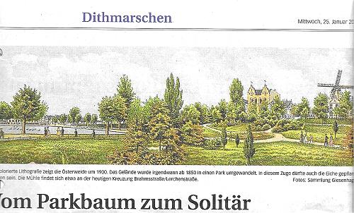 Alte Eiche Heide - Vom Parkbaum zum Solitär